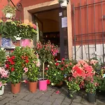Pensionat Gorra Rosa Di Mare Vicino Al Mare Lontano Dal Caos! Finale Ligure