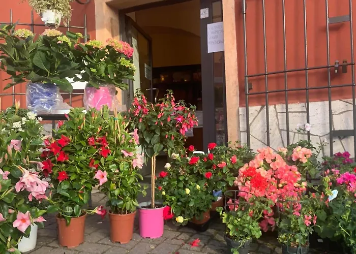 Gæstehus Gorra Rosa Di Mare Vicino Al Mare Lontano Dal Caos! Finale Ligure