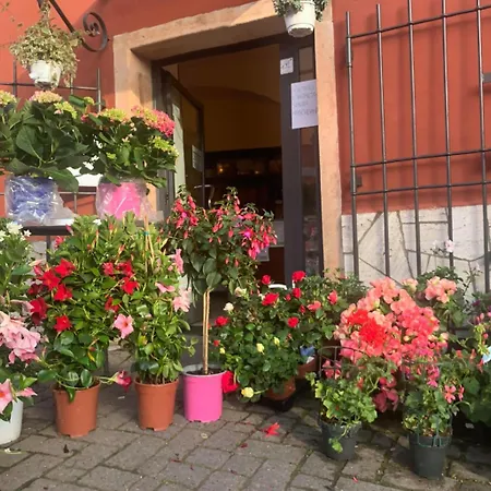 Guest house Finale Ligure Gorra Rosa Di Mare Vicino Al Mare Lontano Dal Caos! Borgio Verezzi