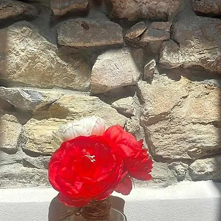 Gorra Rosa Di Mare Vicino Al Mare Lontano Dal Caos! בית הארחה