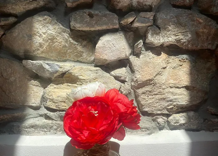 Gorra Rosa Di Mare Vicino Al Mare Lontano Dal Caos! 게스트하우스