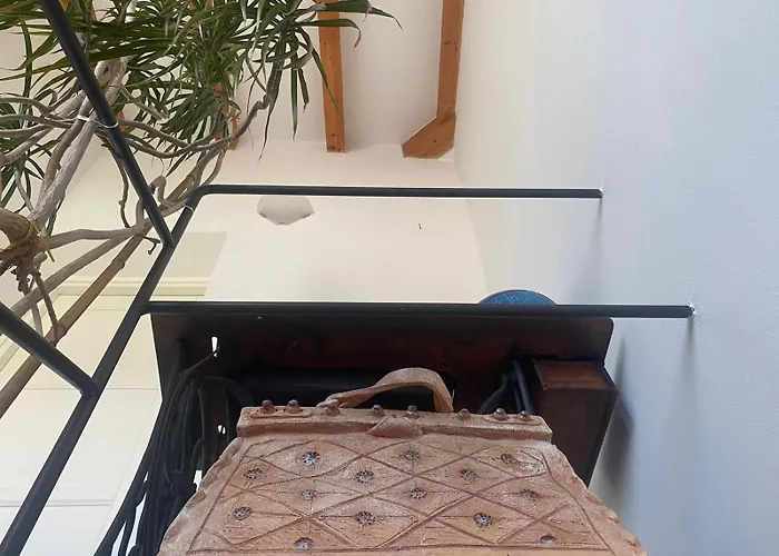 Gorra Rosa Di Mare Vicino Al Mare Lontano Dal Caos! 피날레리구레